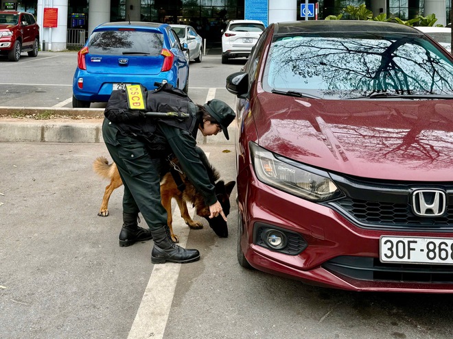 Những b&oacute;ng hồng lặng lẽ tạo &lsquo;l&aacute; chắn th&eacute;p&rsquo; bảo vệ Đại hội Đảng- Ảnh 13.