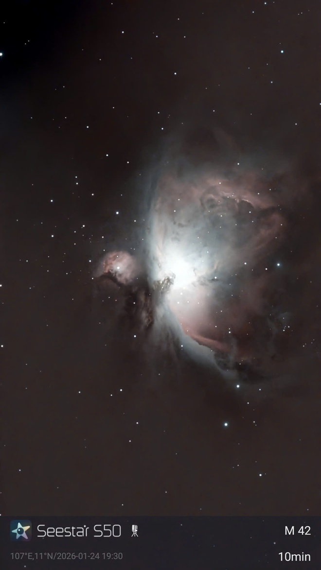 'Vườn thú lớn nhất bầu trời': Trước tết, nhiều người TP.HCM vượt hàng trăm km để ngắm - Ảnh 7.