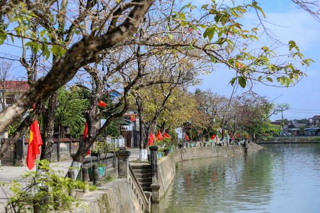 Ng&ocirc;i l&agrave;ng B&aacute;c Hồ từng sống ở Huế: B&igrave;nh y&ecirc;n khoe sắc trước thềm xu&acirc;n- Ảnh 4.