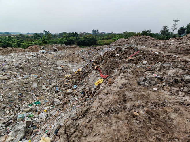 Bắt khẩn cấp 3 gi&aacute;m đốc c&ocirc;ng ty m&ocirc;i trường ở H&agrave; Nội - Ảnh 8.