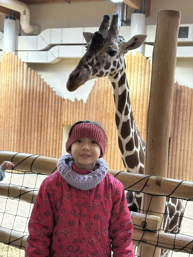 - Ảnh 6. - Ảnh 6.