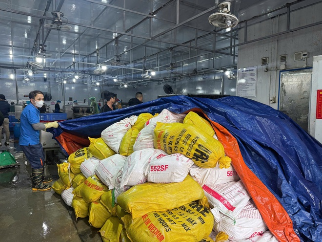 Công an Hà Nội thu hơn 60 tấn lòng lợn bẩn tại Công ty Dũng Phát- Ảnh 2. Công an Hà Nội thu hơn 60 tấn lòng lợn bẩn tại Công ty Dũng Phát- Ảnh 2.