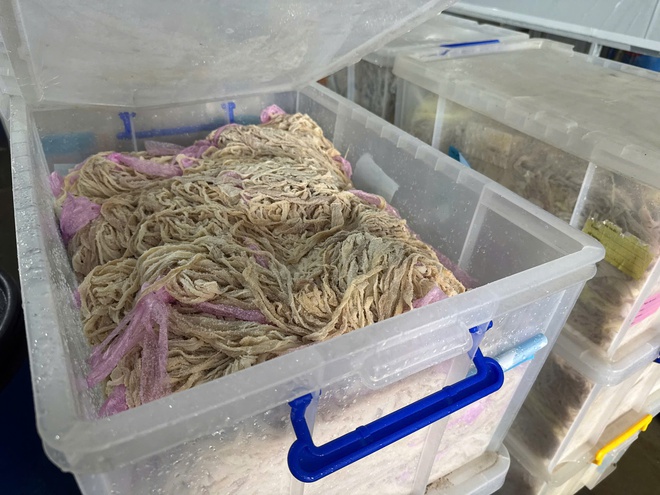 Công an Hà Nội thu hơn 60 tấn lòng lợn bẩn tại Công ty Dũng Phát- Ảnh 7. Công an Hà Nội thu hơn 60 tấn lòng lợn bẩn tại Công ty Dũng Phát- Ảnh 7.