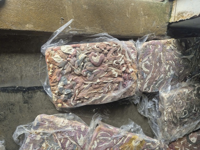 Công an Hà Nội thu hơn 60 tấn lòng lợn bẩn tại Công ty Dũng Phát- Ảnh 6. Công an Hà Nội thu hơn 60 tấn lòng lợn bẩn tại Công ty Dũng Phát- Ảnh 6.