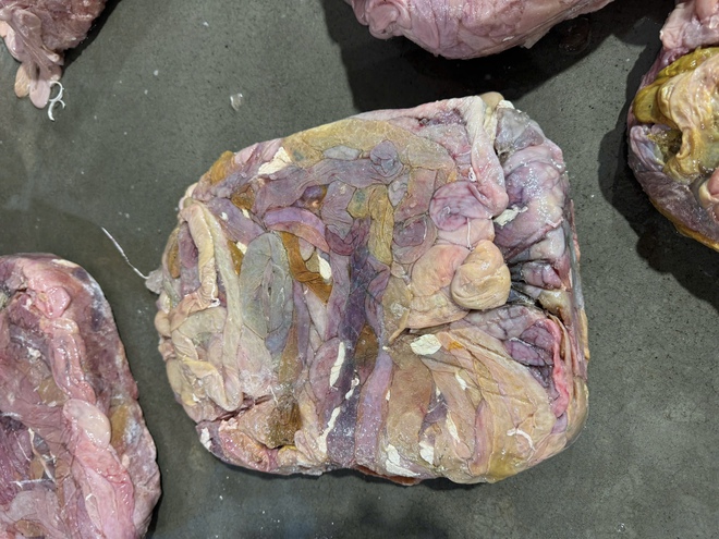 Công an Hà Nội thu hơn 60 tấn lòng lợn bẩn tại Công ty Dũng Phát- Ảnh 8. Công an Hà Nội thu hơn 60 tấn lòng lợn bẩn tại Công ty Dũng Phát- Ảnh 8.