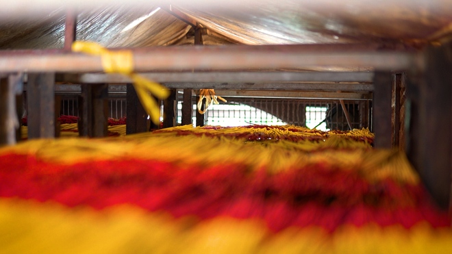 L&agrave;m nhang tết ở TP.HCM: Người gi&agrave; mong người trung ni&ecirc;n giữ nghề - Ảnh 15.