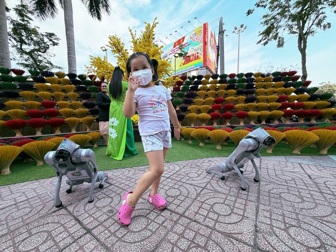 Đường hoa 5 tỉ đồng tại cửa ngõ sân bay Tân Sơn Nhất có gì?- Ảnh 10. Đường hoa 5 tỉ đồng tại cửa ngõ sân bay Tân Sơn Nhất có gì?- Ảnh 10.