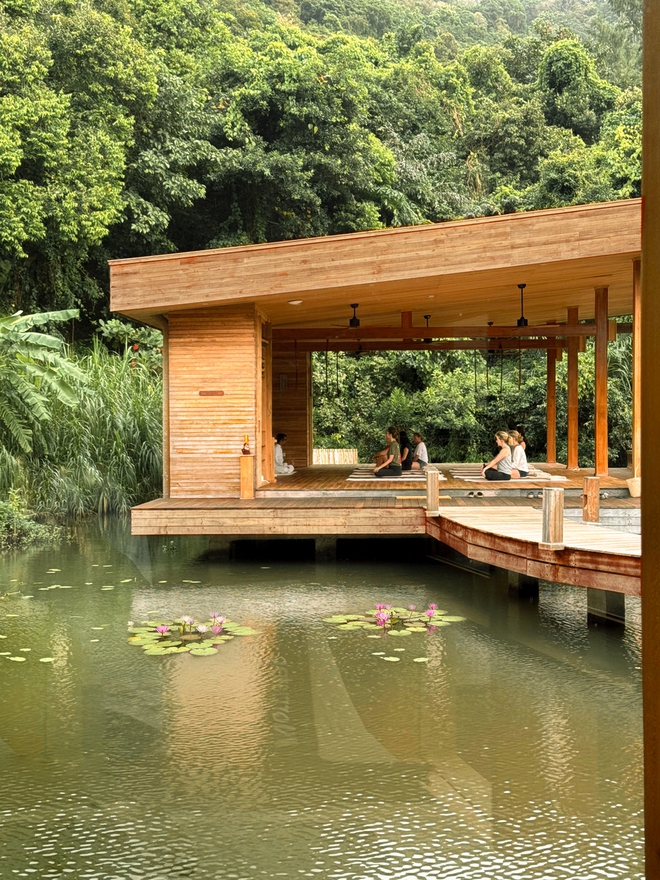 - Ảnh 2. - Ảnh 2.