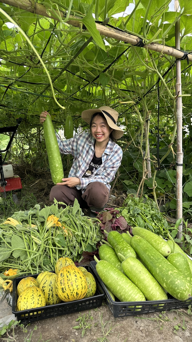 Cô gái Việt cải tạo mảnh đất hoang ở Nhật thành vườn rau xanh mướt - Ảnh 2.