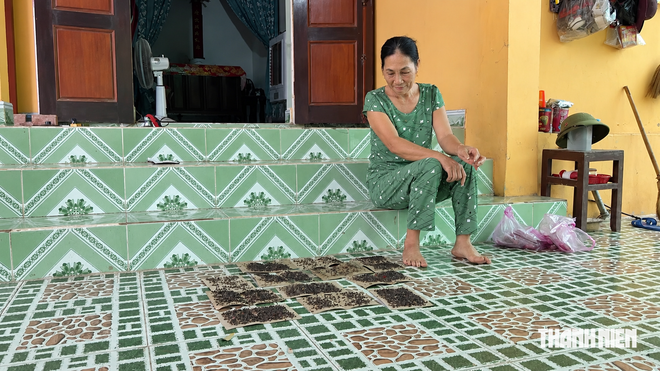 Khổ v&igrave; ruồi - Ảnh 2.
