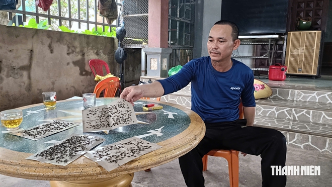 Khổ v&igrave; ruồi - Ảnh 3.
