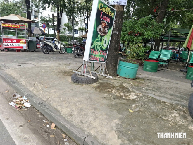 Nhiều gốc c&acirc;y bị tr&aacute;m k&iacute;n xi măng  - Ảnh 1.