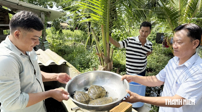 Mở hướng làm giàu từ cua đinh và rắn ri cá - Ảnh 1.