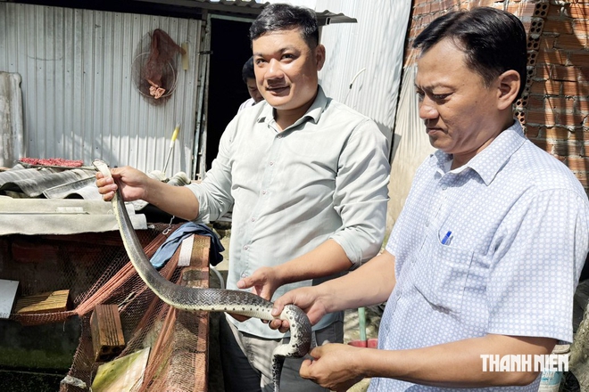 Mở hướng làm giàu từ cua đinh và rắn ri cá - Ảnh 2.