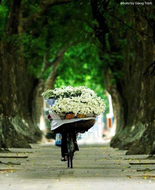 Thu H&agrave; Nội sao quyến rũ vậy?  - Ảnh 12.