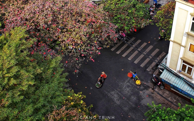 Thu H&agrave; Nội sao quyến rũ vậy?  - Ảnh 7.