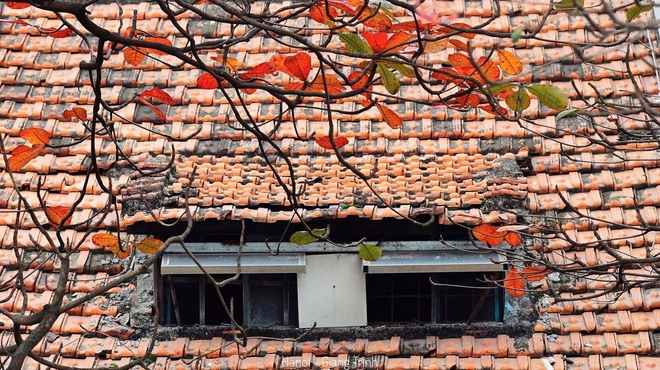 Thu H&agrave; Nội sao quyến rũ vậy?  - Ảnh 6.