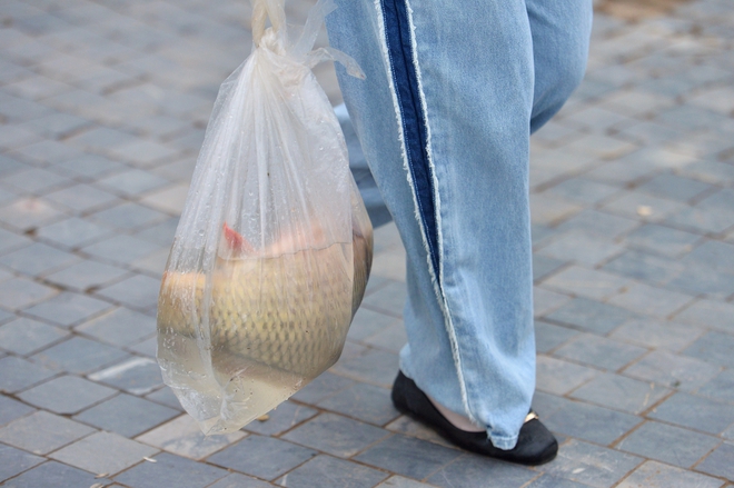 Người H&agrave; Nội thả c&aacute; ch&eacute;p 'khổng lồ', đưa T&aacute;o qu&acirc;n về trời- Ảnh 5.