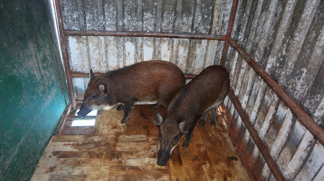 Tết của những 'cột mốc sống' tr&ecirc;n biển, m&atilde;i v&igrave; chủ quyền Tổ quốc thi&ecirc;ng li&ecirc;ng- Ảnh 23.