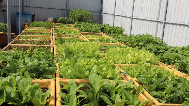 Tết của những 'cột mốc sống' tr&ecirc;n biển, m&atilde;i v&igrave; chủ quyền Tổ quốc thi&ecirc;ng li&ecirc;ng- Ảnh 14.