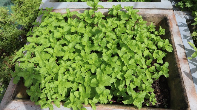 Tết của những 'cột mốc sống' tr&ecirc;n biển, m&atilde;i v&igrave; chủ quyền Tổ quốc thi&ecirc;ng li&ecirc;ng- Ảnh 13.