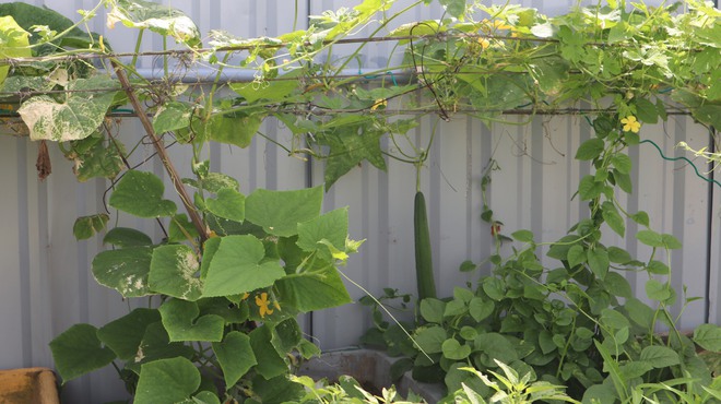 Tết của những 'cột mốc sống' tr&ecirc;n biển, m&atilde;i v&igrave; chủ quyền Tổ quốc thi&ecirc;ng li&ecirc;ng- Ảnh 16.