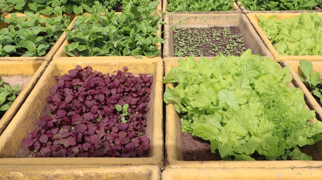 Tết của những 'cột mốc sống' tr&ecirc;n biển, m&atilde;i v&igrave; chủ quyền Tổ quốc thi&ecirc;ng li&ecirc;ng- Ảnh 12.