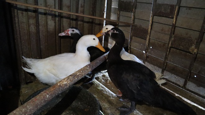 Tết của những 'cột mốc sống' tr&ecirc;n biển, m&atilde;i v&igrave; chủ quyền Tổ quốc thi&ecirc;ng li&ecirc;ng- Ảnh 9.