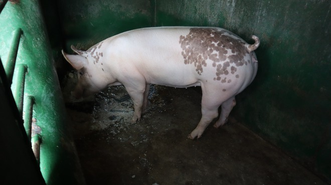 Tết của những 'cột mốc sống' tr&ecirc;n biển, m&atilde;i v&igrave; chủ quyền Tổ quốc thi&ecirc;ng li&ecirc;ng- Ảnh 10.