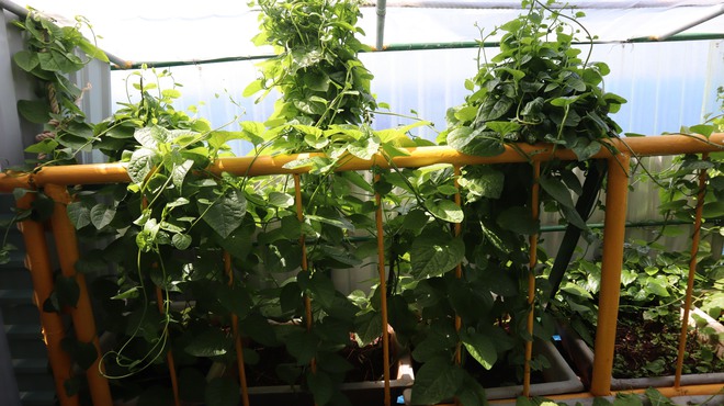 Tết của những 'cột mốc sống' tr&ecirc;n biển, m&atilde;i v&igrave; chủ quyền Tổ quốc thi&ecirc;ng li&ecirc;ng- Ảnh 8.