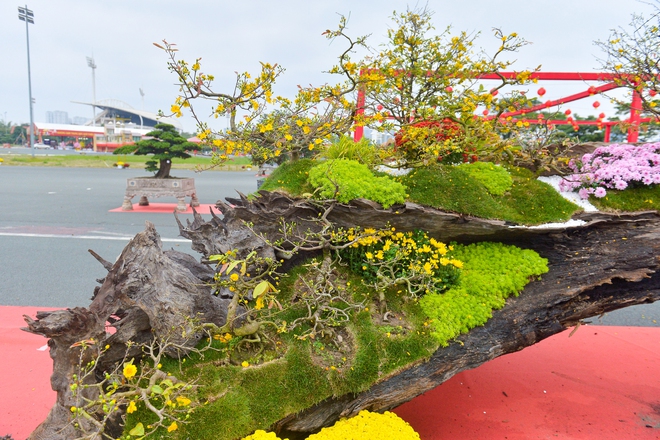 T&aacute;c phẩm mai v&agrave;ng rao b&aacute;n gần 800 triệu ở H&agrave; Nội c&oacute; g&igrave; đặc biệt?- Ảnh 5.