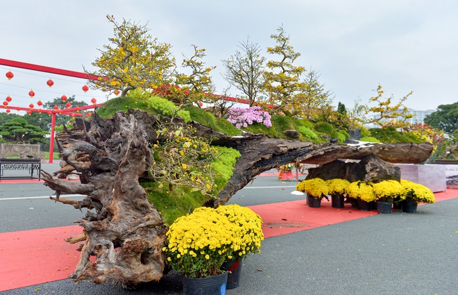 T&aacute;c phẩm mai v&agrave;ng rao b&aacute;n gần 800 triệu ở H&agrave; Nội c&oacute; g&igrave; đặc biệt?- Ảnh 3.