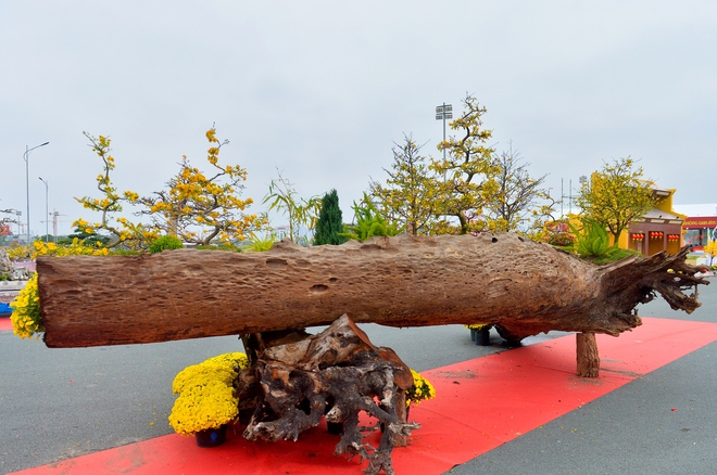 T&aacute;c phẩm mai v&agrave;ng rao b&aacute;n gần 800 triệu ở H&agrave; Nội c&oacute; g&igrave; đặc biệt?- Ảnh 6.