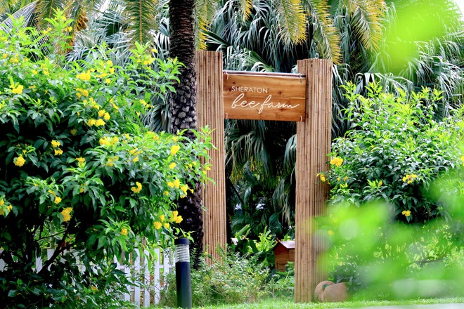 Rời nhà nhưng vẫn trọn vị Tết - Ảnh 18.