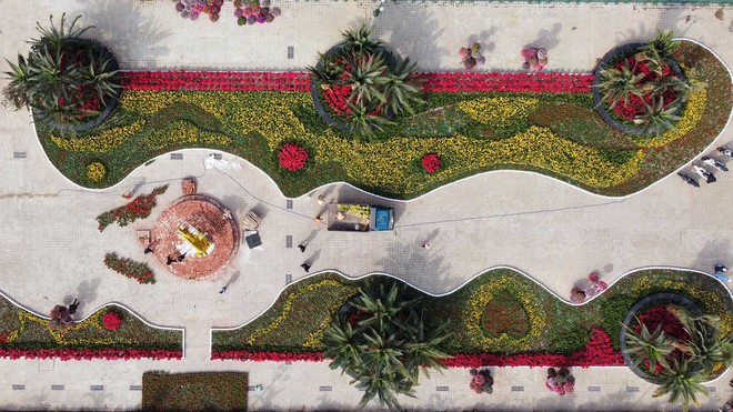 Linh vật ngựa g&acirc;y sốt ở th&agrave;nh phố Cảng- Ảnh 6.