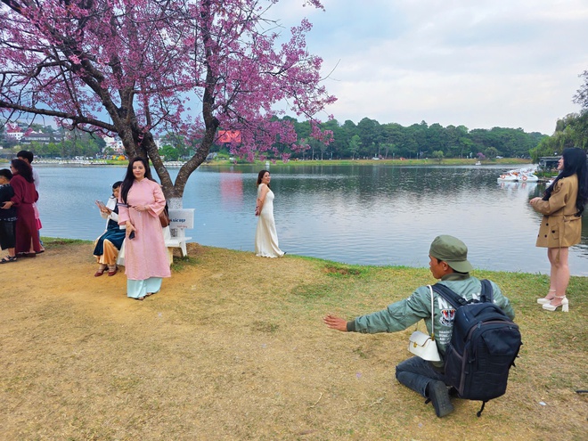 Thợ ảnh dạo Đ&agrave; Lạt: Bỏ in h&igrave;nh, chuyển sang 'bắn' file, thu tiền triệu mỗi ng&agrave;y- Ảnh 5.