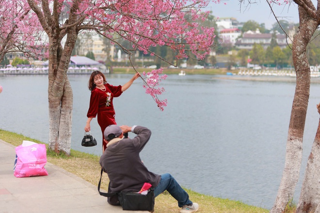 Thợ ảnh dạo Đ&agrave; Lạt: Bỏ in h&igrave;nh, chuyển sang 'bắn' file, thu tiền triệu mỗi ng&agrave;y- Ảnh 6.