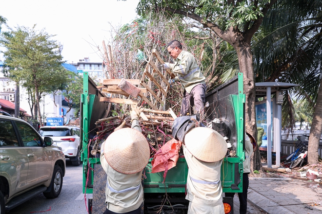 Chiều 29 tết, cành đào tiền triệu thành củi khô, chất đống trên vỉa hè Hà Nội- Ảnh 6. Chiều 29 tết, cành đào tiền triệu thành củi khô, chất đống trên vỉa hè Hà Nội- Ảnh 6.