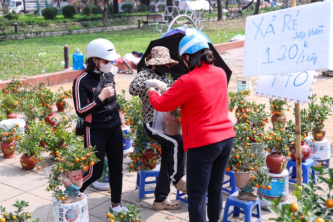 Chiều 29 tết, cành đào tiền triệu thành củi khô, chất đống trên vỉa hè Hà Nội- Ảnh 19. Chiều 29 tết, cành đào tiền triệu thành củi khô, chất đống trên vỉa hè Hà Nội- Ảnh 19.