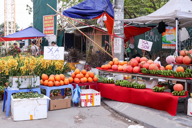 Chiều 29 tết, cành đào tiền triệu thành củi khô, chất đống trên vỉa hè Hà Nội- Ảnh 20. Chiều 29 tết, cành đào tiền triệu thành củi khô, chất đống trên vỉa hè Hà Nội- Ảnh 20.