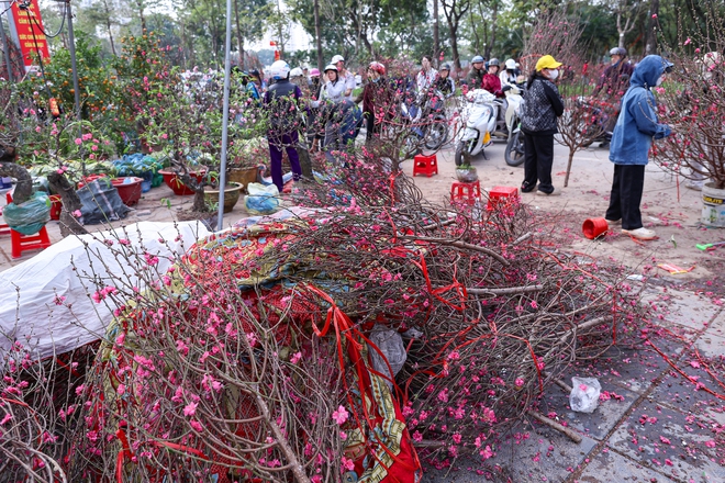 Chiều 29 tết, cành đào tiền triệu thành củi khô, chất đống trên vỉa hè Hà Nội- Ảnh 8. Chiều 29 tết, cành đào tiền triệu thành củi khô, chất đống trên vỉa hè Hà Nội- Ảnh 8.