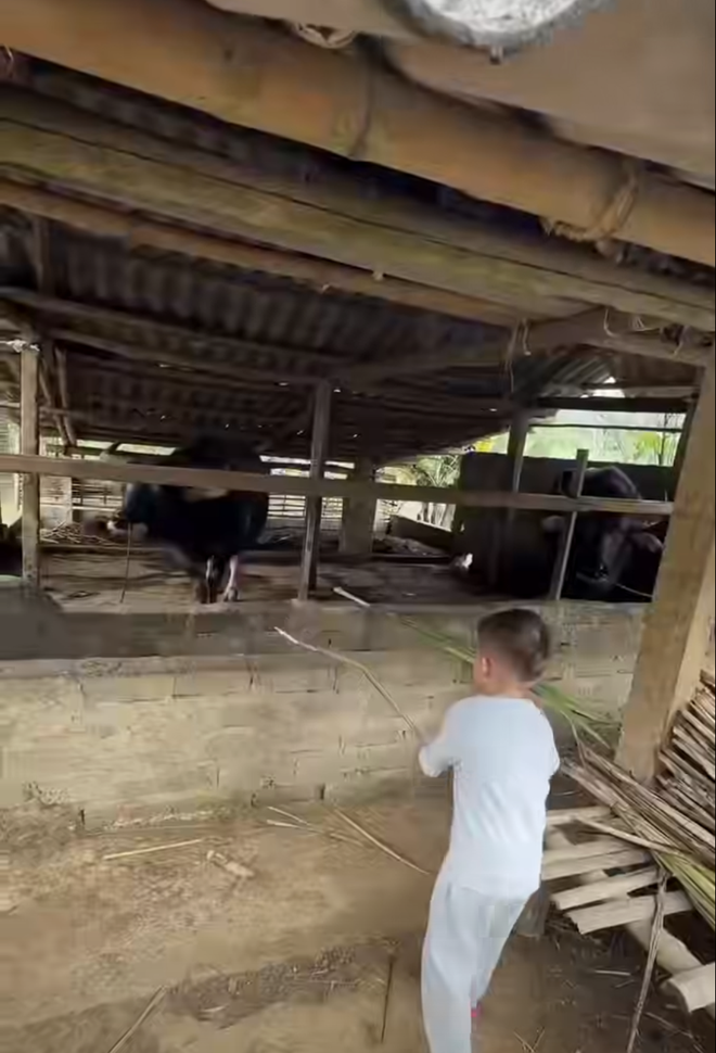 Thủ môn Bùi Tiến Dũng về quê đón tết: Nhóc tì lai gây sốt, cực đáng yêu- Ảnh 4. Thủ môn Bùi Tiến Dũng về quê đón tết: Nhóc tì lai gây sốt, cực đáng yêu- Ảnh 4.