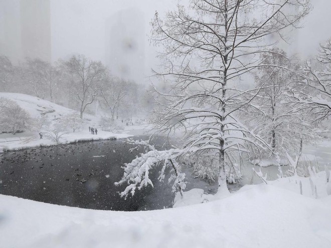 New York 'biến mất' chỉ sau một đ&ecirc;m - Ảnh 8.