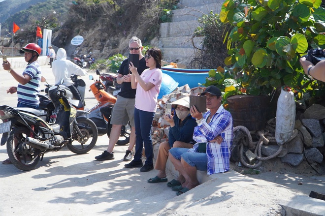 Rộn ràng lễ hội cầu ngư hơn 200 năm tuổi ở Quy Nhơn- Ảnh 7. Rộn ràng lễ hội cầu ngư hơn 200 năm tuổi ở Quy Nhơn- Ảnh 7.