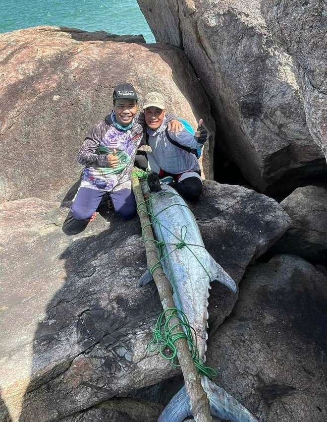 &lsquo;Cần thủ&rsquo; vật lộn h&agrave;ng giờ với con c&aacute; thu 63 kg, xẻ thịt tặng bạn b&egrave; - Ảnh 2.