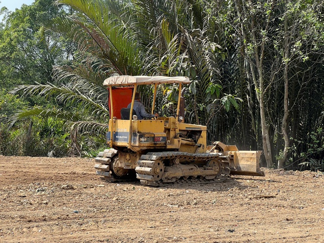 TP.HCM: San lấp tr&aacute;i ph&eacute;p gần 2.000 m&sup2; giữa rừng c&acirc;y phường Long Phước- Ảnh 13.