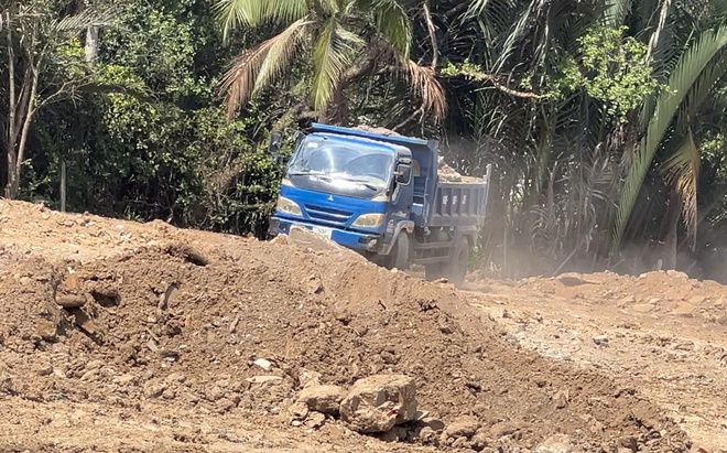 TP.HCM: San lấp tr&aacute;i ph&eacute;p gần 2.000 m&sup2; giữa rừng c&acirc;y phường Long Phước- Ảnh 6.