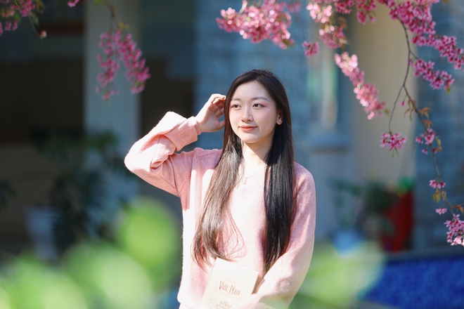 Trường ĐH Đ&agrave; Lạt rực sắc mai anh đ&agrave;o, sinh vi&ecirc;n, du kh&aacute;ch th&iacute;ch th&uacute; chụp ảnh- Ảnh 18.