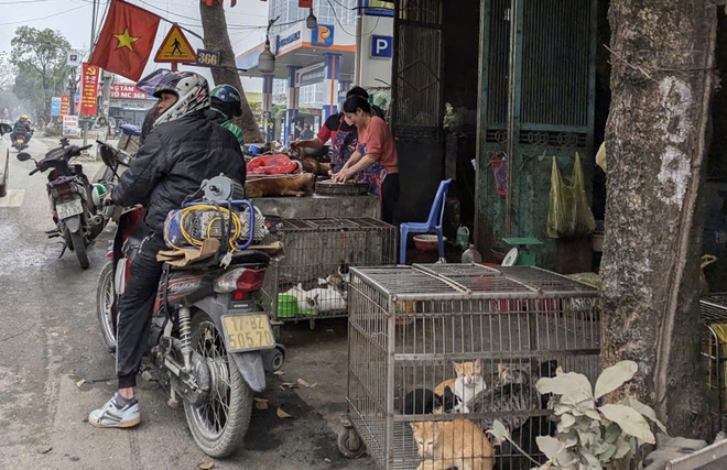 'Phố thịt ch&oacute;' duy nhất c&ograve;n lại ở H&agrave; Nội giờ ra sao?- Ảnh 6.