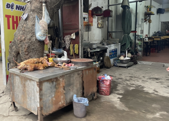 'Phố thịt ch&oacute;' duy nhất c&ograve;n lại ở H&agrave; Nội giờ ra sao?- Ảnh 3.